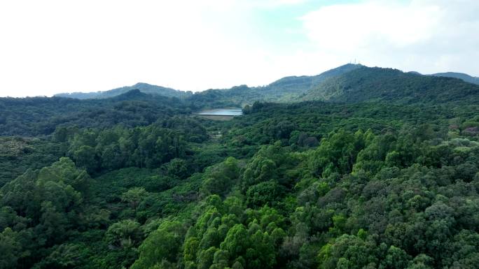 广州南沙黄山鲁森林公园水库01