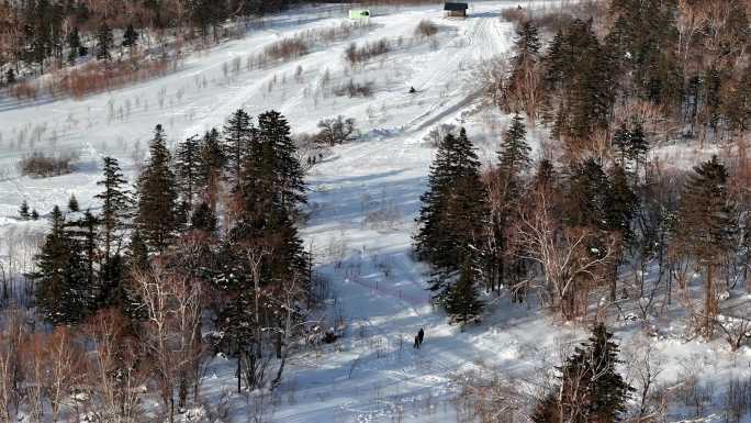 吉林省长白山雪岭