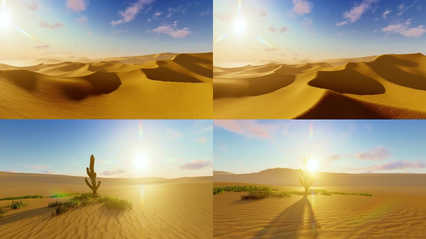 沙漠日出 沙漠日落
