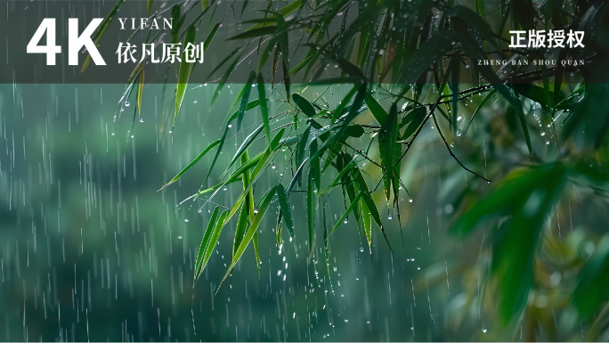 屋檐滴雨谷雨雨水意境