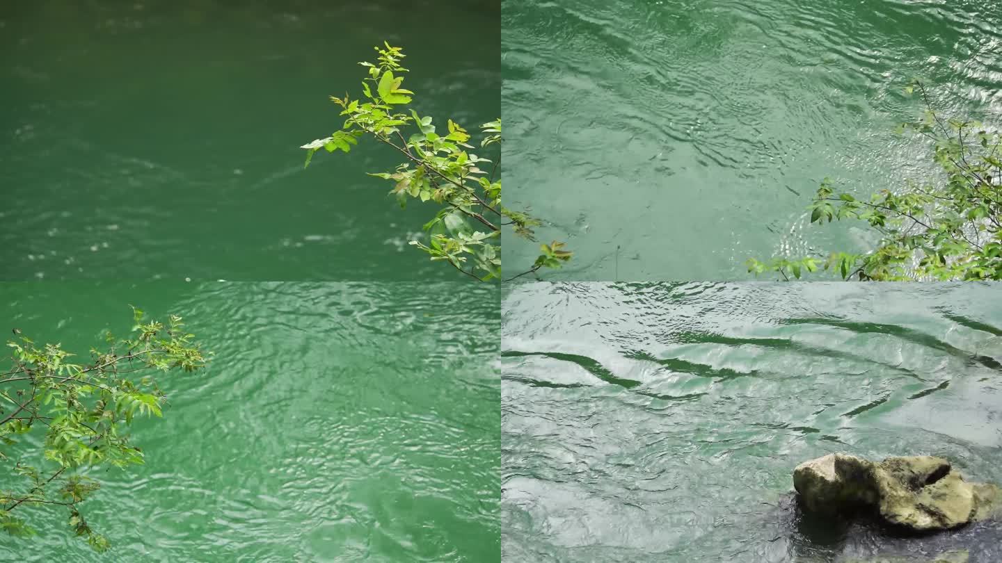 河面上的树枝叶