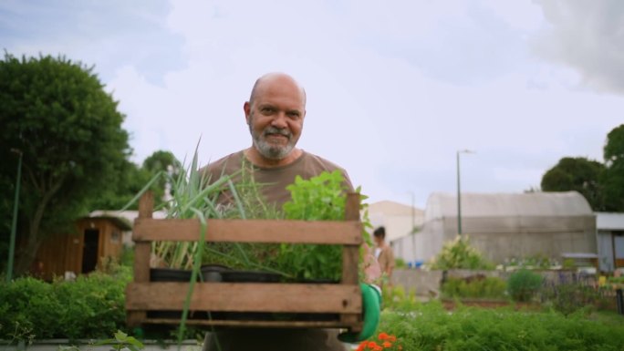 老人在社区花园拿着箱子和蔬菜的肖像