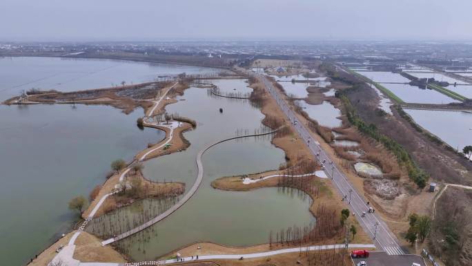 湖北枝江金湖湿地风光