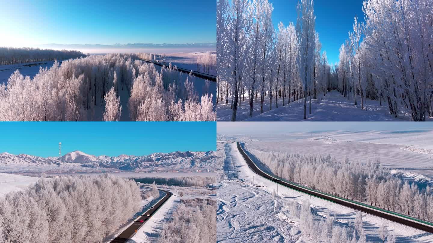 冰雪 雾凇 公路 航拍 新疆昭苏0028