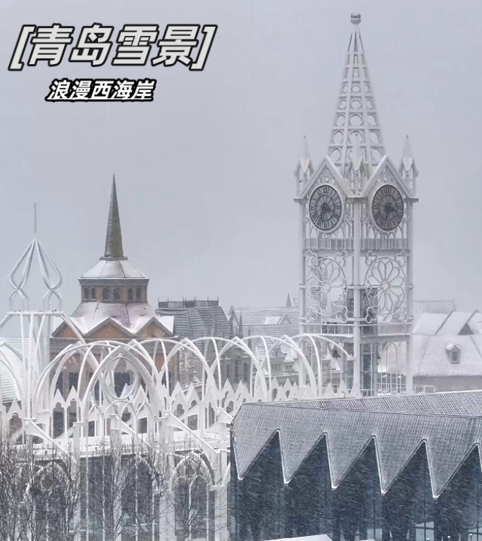 青岛西海岸红树林冬日雪景