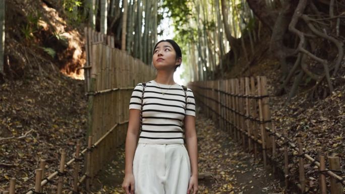 女人，在森林里散步和思考旅行冒险，徒步旅行和大自然中植物、树木和生态的和平。日本游客在竹林小径、园林