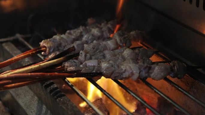 木炭烧烤烤肉红柳木烤肉烤羊肉烧烤制作