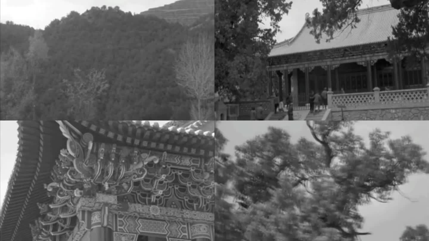 60年代陕西祭扫黄帝陵影像1