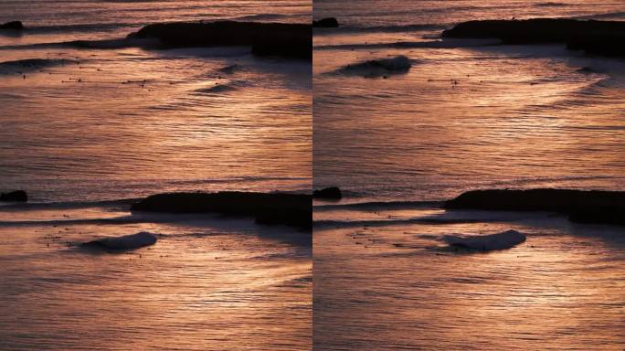 日落在加利福尼亚太平洋上的倒影，冲浪者和海浪