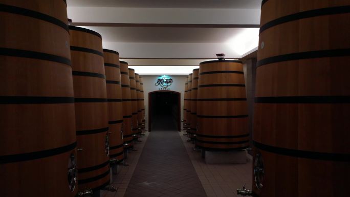 大型橡木桶葡萄酒发酵罐 葡萄酒生产基地