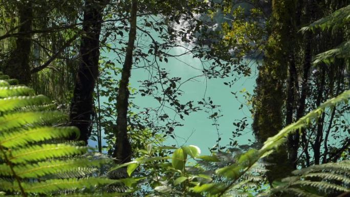慢镜头(从左到右)，在郁郁葱葱的绿色森林里，背景是绿松石色的河流——新西兰的霍基蒂卡峡谷