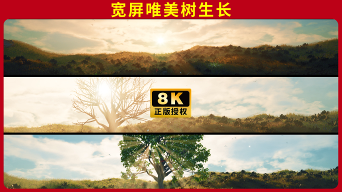 春天的大树生长 8K宽屏舞台背景