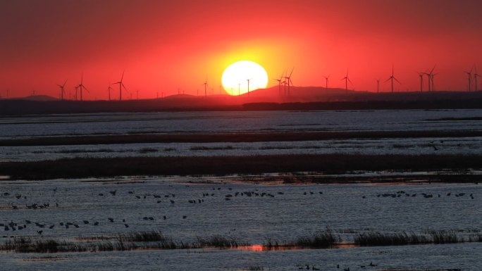 夕阳下的东北湿地