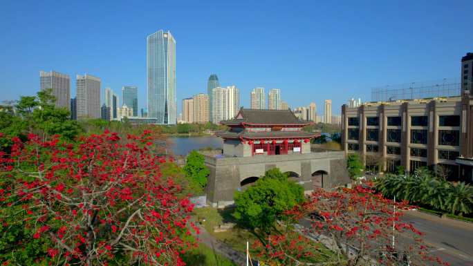 惠州朝京门木棉航拍大景