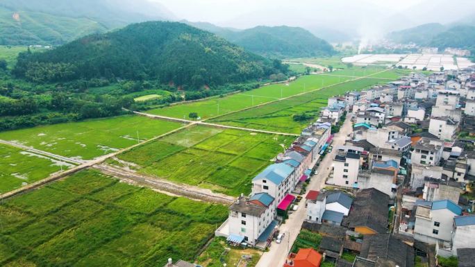 农田的航空摄影