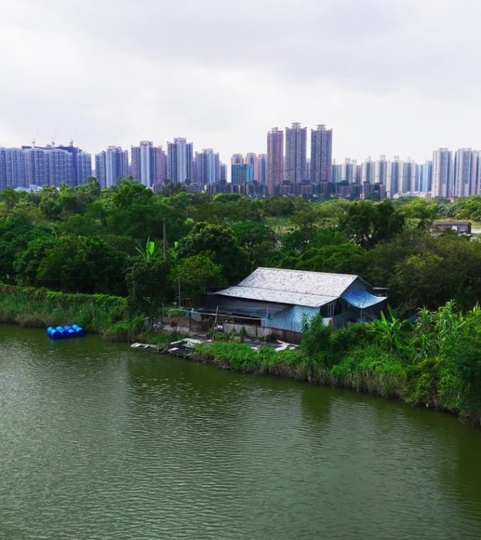 无人机拍摄的香港夏季养鱼场