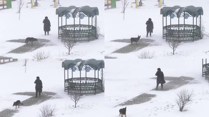 一位妇女在暴风雪中遛狗。