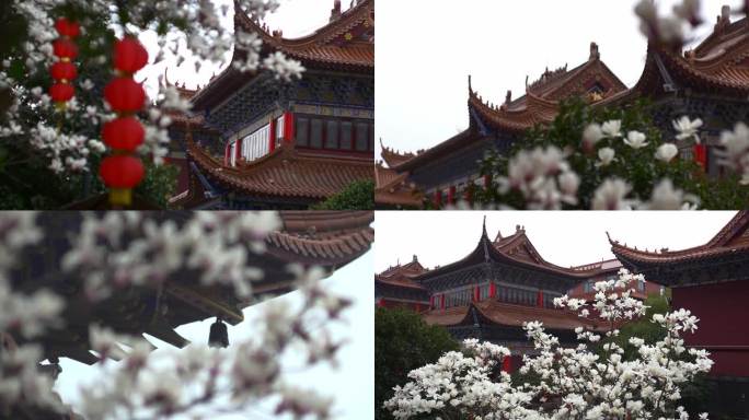 玉兰花映衬下的红墙寺庙中国古建筑