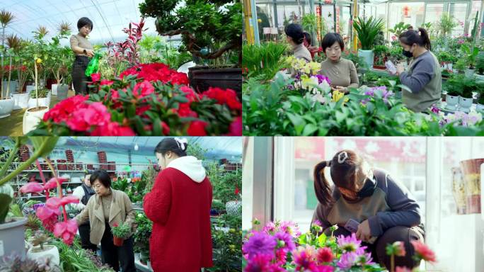 【4K】花卉市场 购花顾客 买花顾客