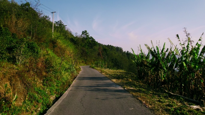 山乡村道路芭蕉树，5.4k，h.265