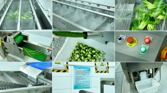 自动洗菜机食堂蔬菜自动化设备现代科技