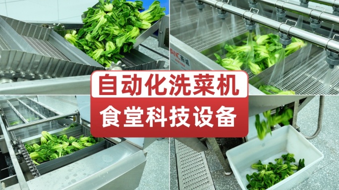 自动洗菜机食堂蔬菜自动化设备现代科技