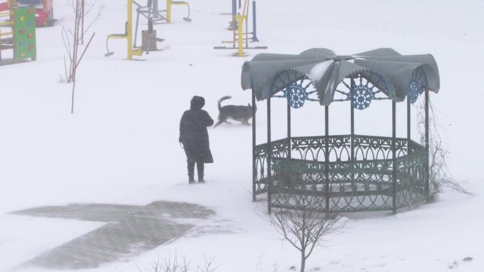 一位妇女在暴风雪中遛狗。
