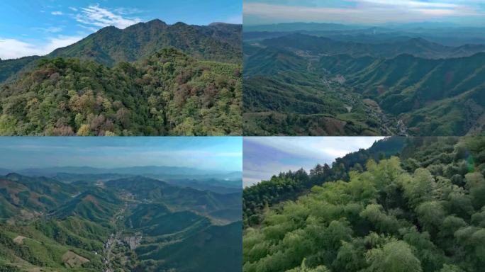 浙江天目山植被山川水墨山川