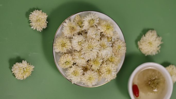 杭白菊 菊花 菊花茶