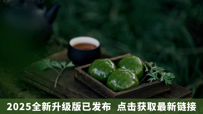 【超长合集】清明青团祭奠菊花下雨意境书法
