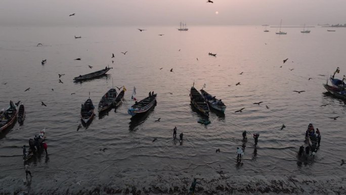 空中平移。塞内加尔圣路易，联合国教科文组织世界遗产，日出时分，渔民乘坐色彩斑斓的独木舟捕鱼归来