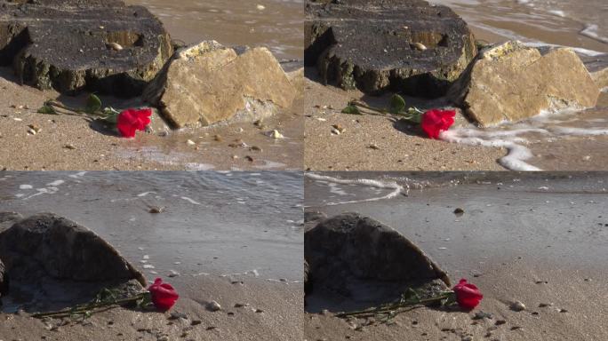海滩上的红色玫瑰