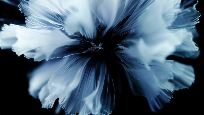 白色花朵流动抽象背景