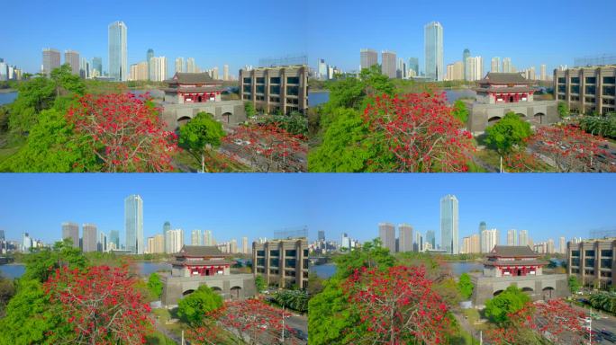 精选朝京门木棉大景