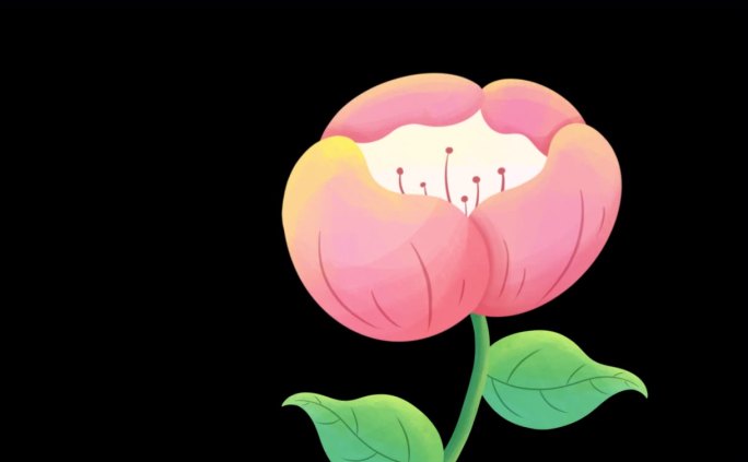 粉色花朵花苞通道视频花草透明通道视频素材