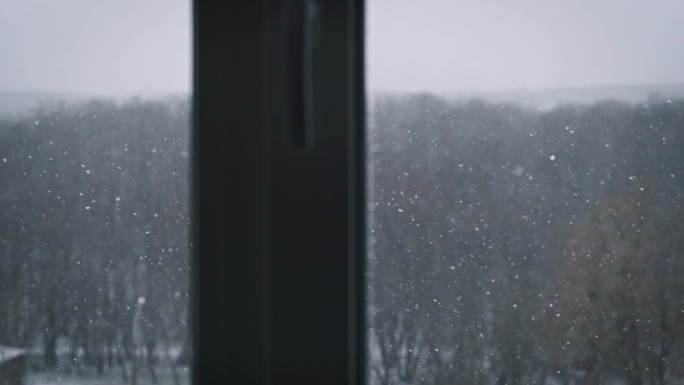窗外的冬日景色，背景是外面飘落的雪花