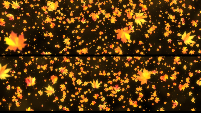 8k宽屏枫叶飘落背景