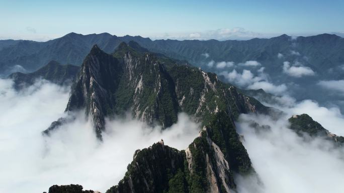 航拍陕西旅游5A级西岳华山景区山峰云海