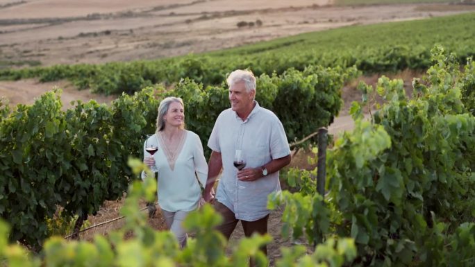 一对老夫妇手牵着手，端着一杯红酒，在葡萄园里庆祝他们的结婚纪念日。在农场、大自然或乡村一起喝酒、葡萄
