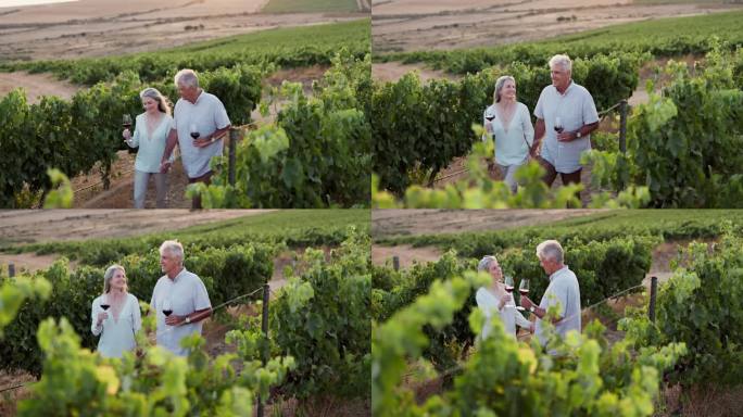 一对老夫妇手牵着手，端着一杯红酒，在葡萄园里庆祝他们的结婚纪念日。在农场、大自然或乡村一起喝酒、葡萄