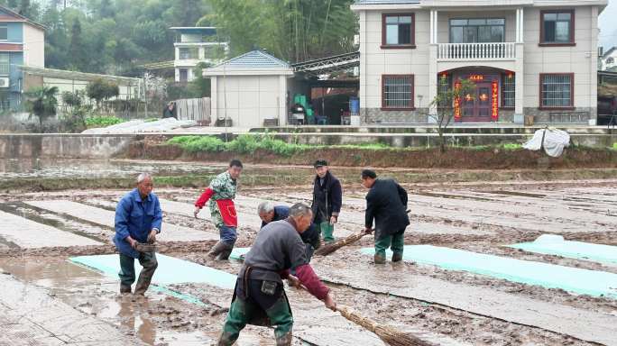 重庆南川：春分时节劳作忙