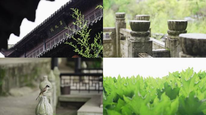 中式庭院下雨散景