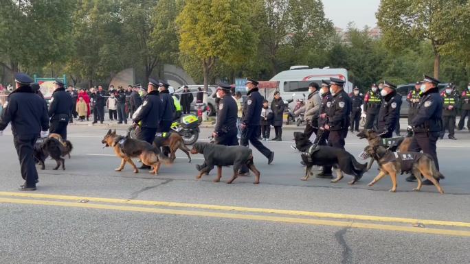 大型活动武警执勤警犬