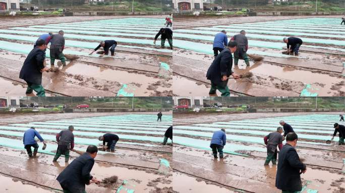 重庆南川：春分时节劳作忙