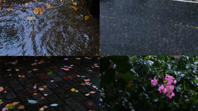 下雨春天唯美清新雨景树叶雨滴水滴空镜慢镜