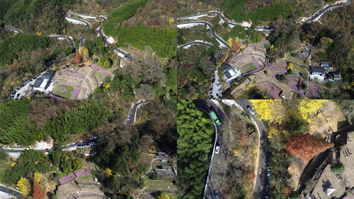 四明山茅镬古树公园秋季风景航拍