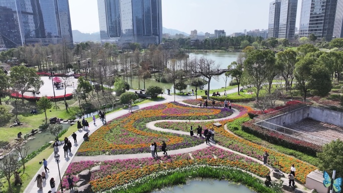 台州和合公园鲜花航拍