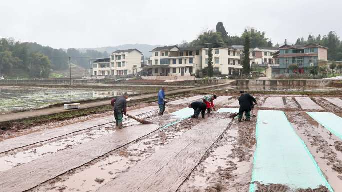 重庆南川：春分时节劳作忙