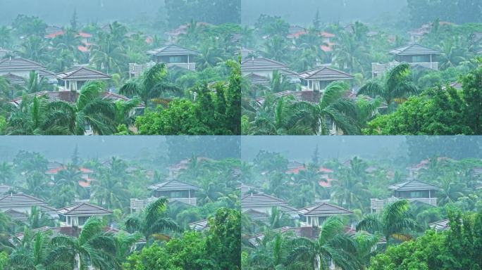 海南台风暴雨