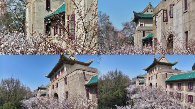 武汉大学樱花与老斋舍